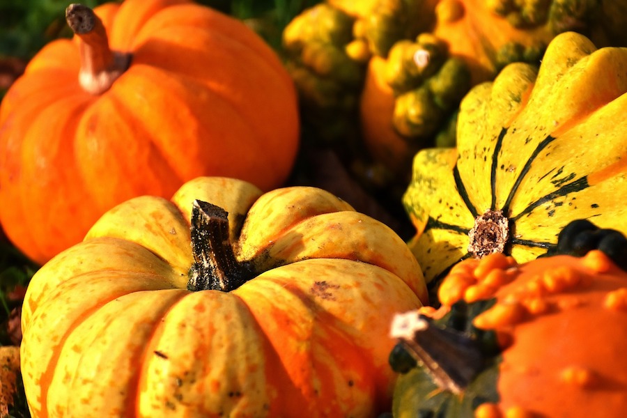 The Unexpected Health Benefits of Pumpkin