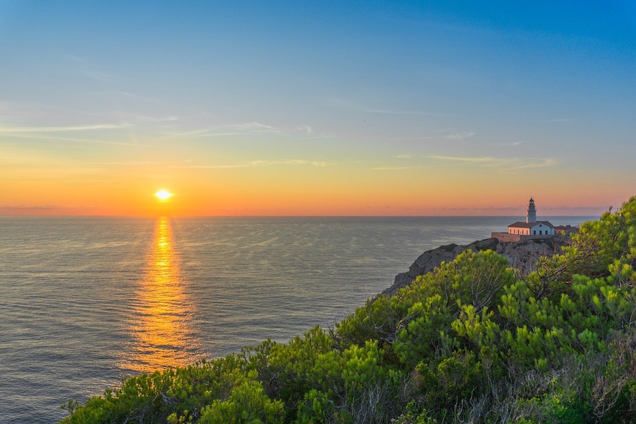 Maria's Sunday Paper: Finding the Light in the Cracks
