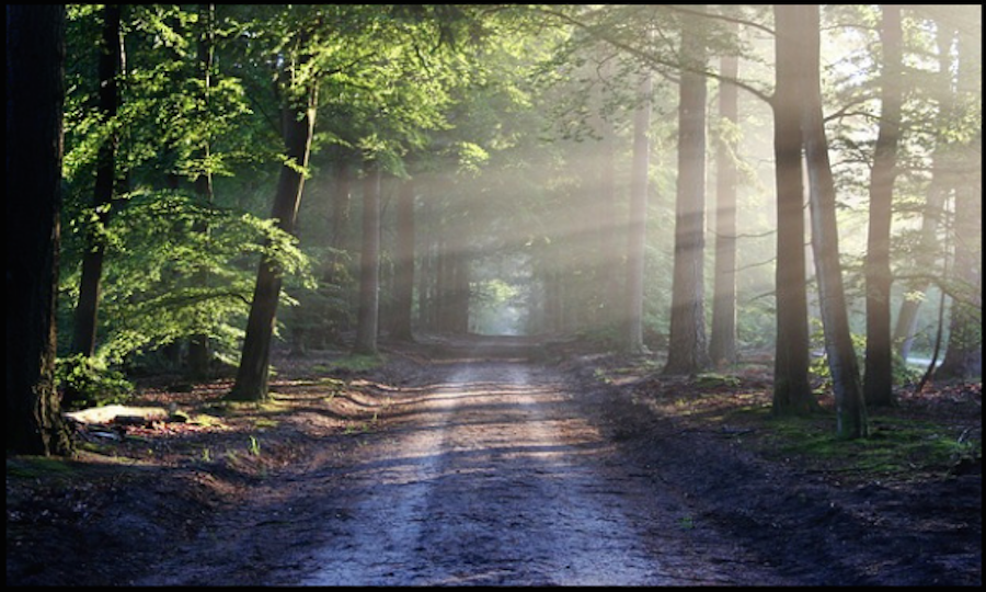 Author Erling Kagge Tells Us How to Find 'Silence in the Age of Noise'
