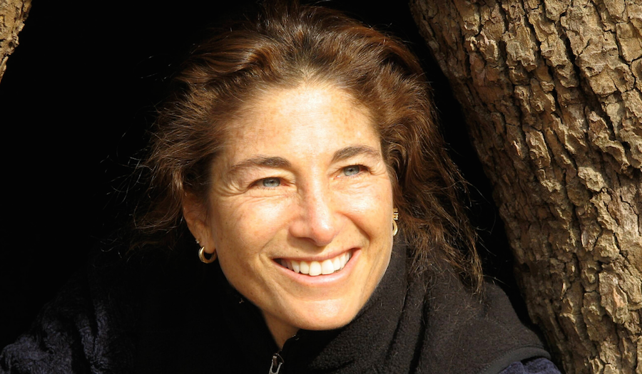 Tara Brach's Non-Radical Approach to 'Radical Compassion'