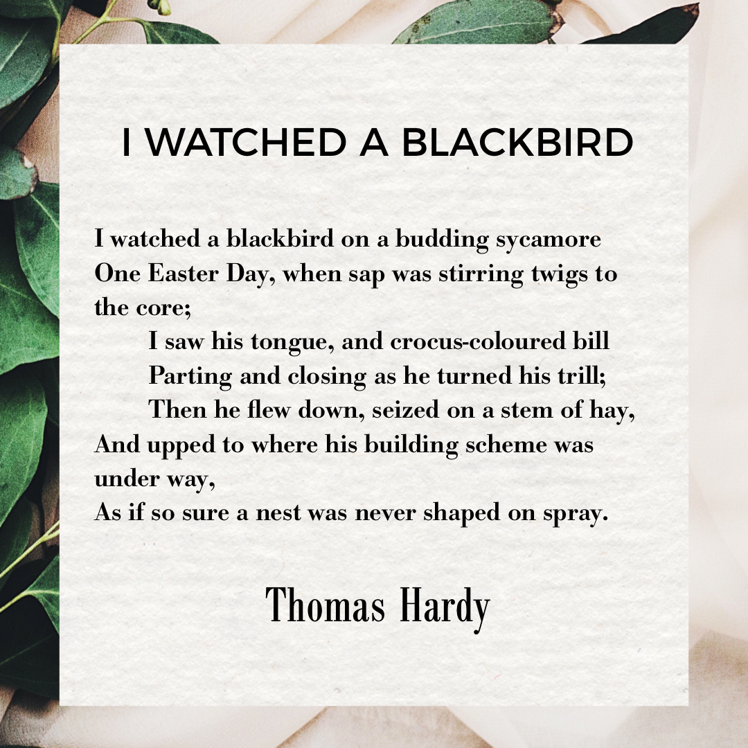 I Watched a Blackbird by Thomas Hardy