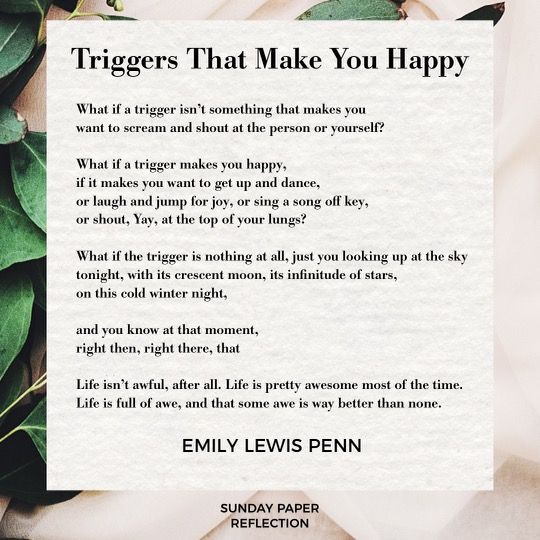 Triggers That Make You Happy by Emily L. Penn