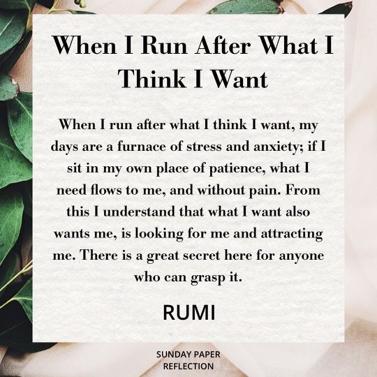 When I Run After What I Think I Want by Rumi