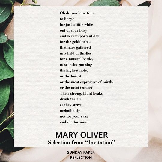 Selection from "Invitation" by Mary Oliver