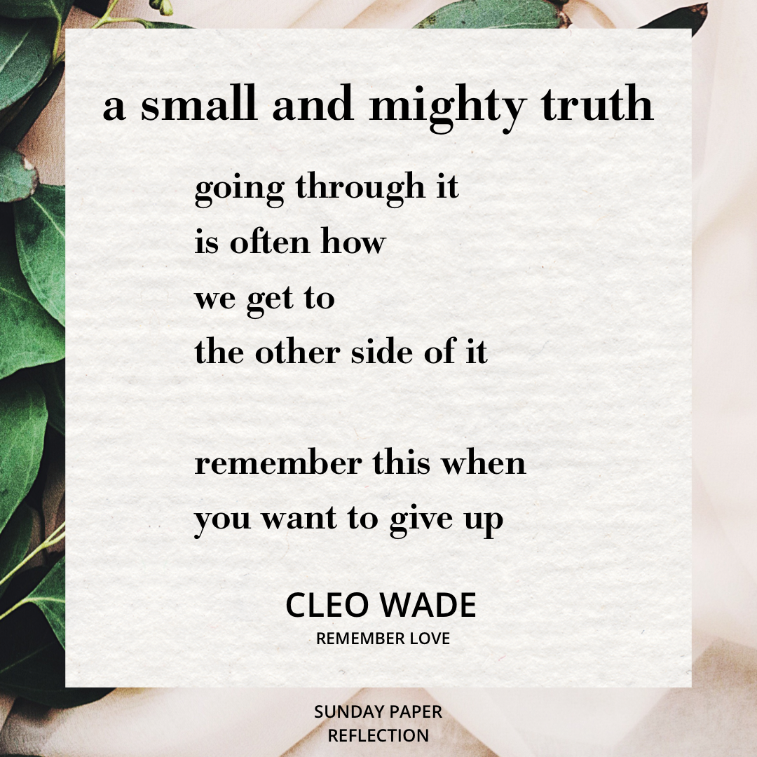 A Small and Mighty Truth by Cleo Wade