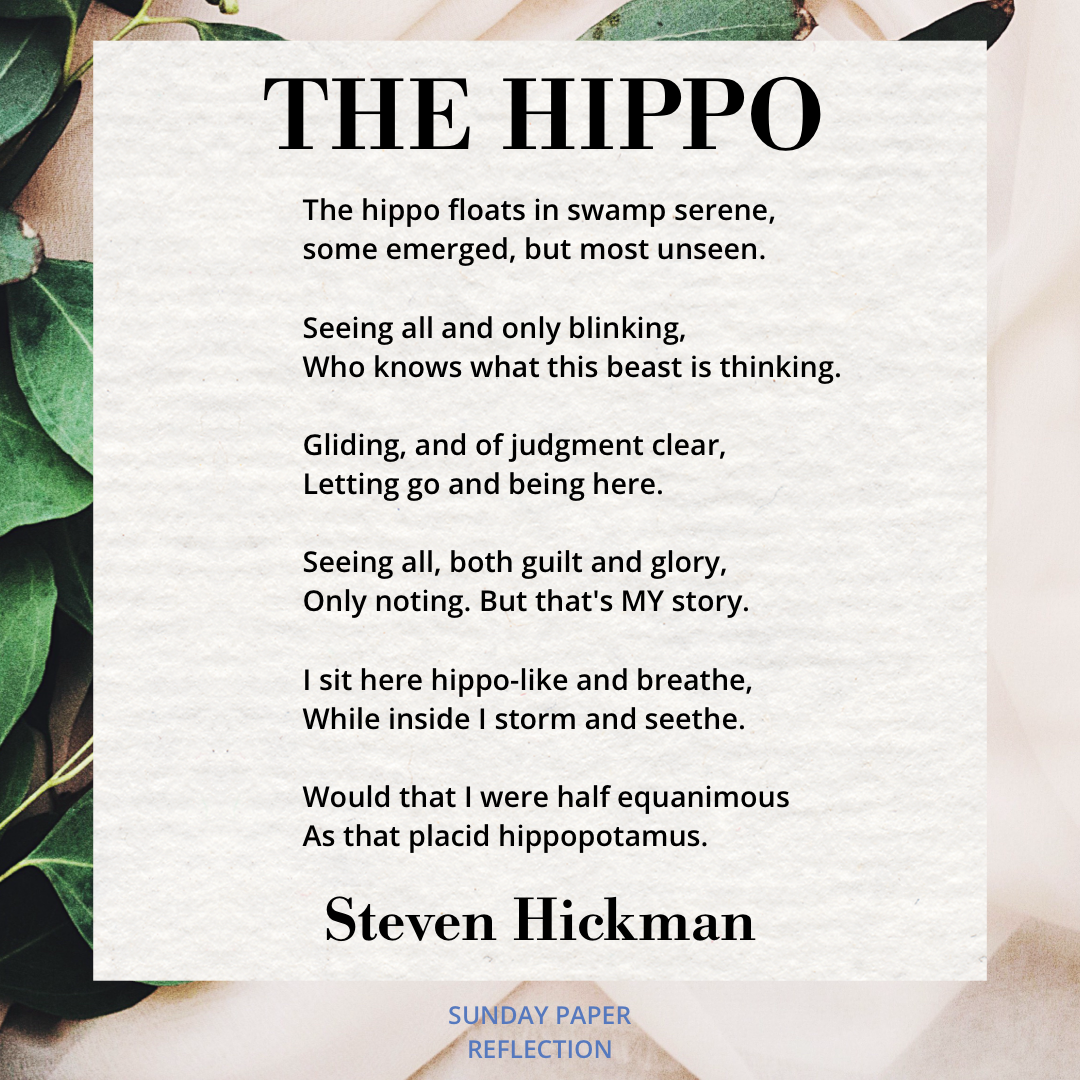 The Hippo by Steven Hickman
