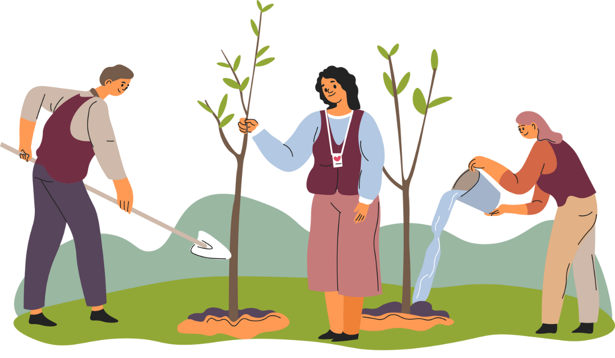 Three people planting trees.