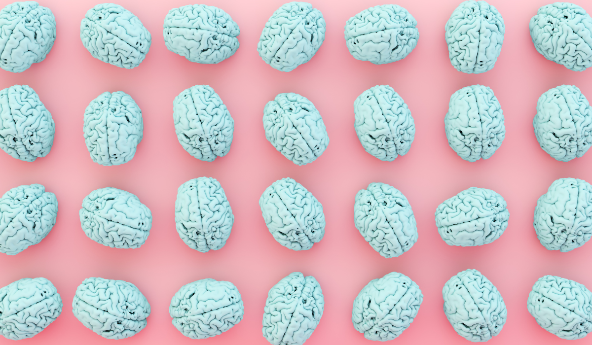 What Exactly Happens Inside a Woman’s Brain After Menopause? This Groundbreaking Study Has the New, Exciting Answers