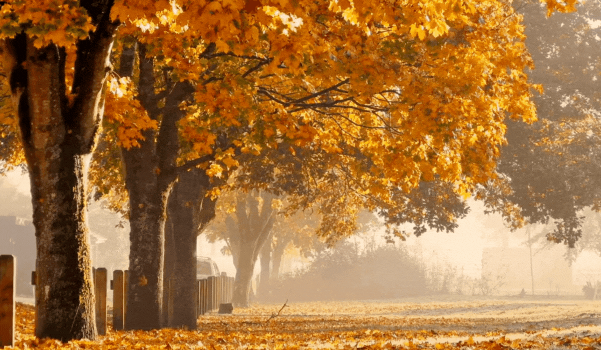Living on Sacred Ground