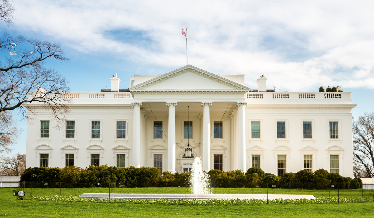 News Above the Noise—Week of November 24, 2024