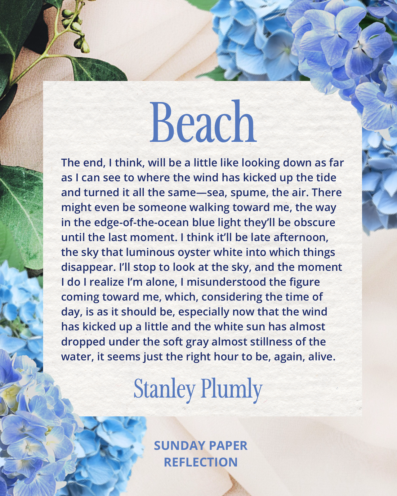 Beach by Stanley Plumly