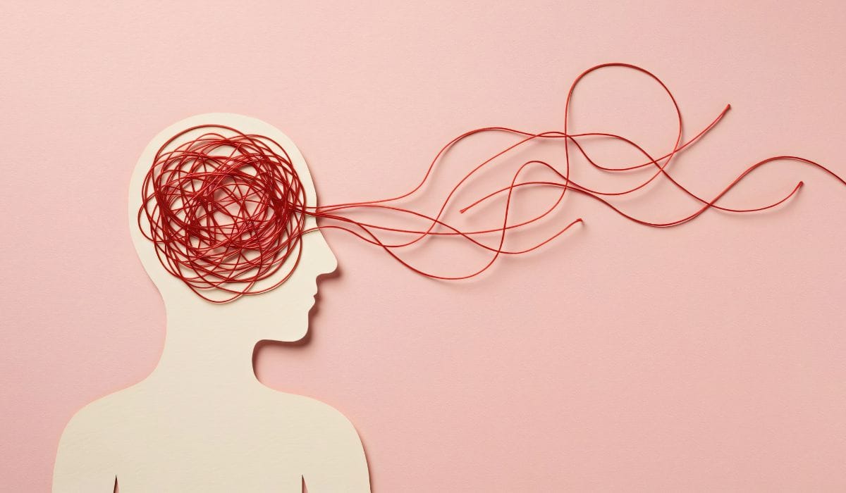 News Above the Noise—Week of December 21, 2025