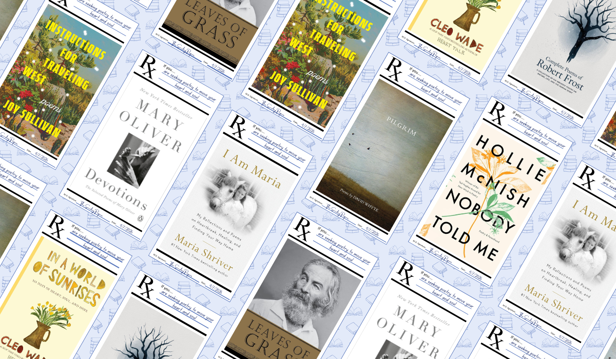 Illuminating the Radical Beauty of Being Alive