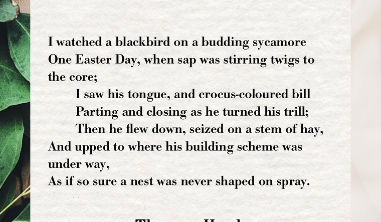 I Watched a Blackbird by Thomas Hardy
