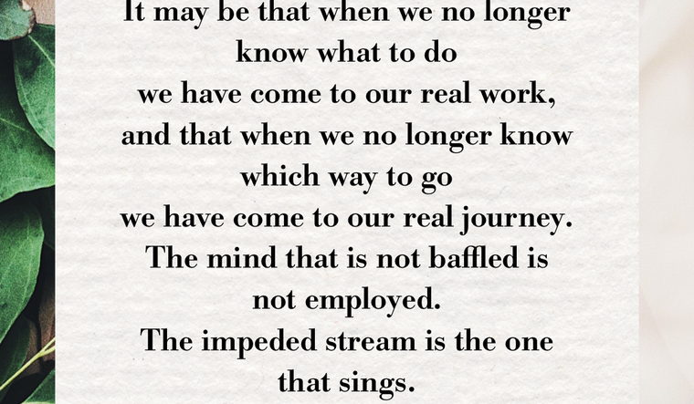 Sunday Paper Reflections & Poems — Week of May 15, 2022