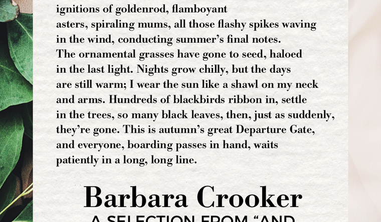 "And Now It's September" by Barbara Crooker