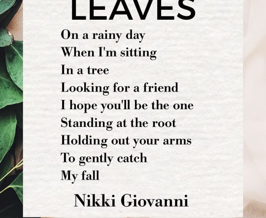 Leaves by Nikki Giovanni