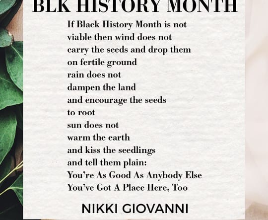 BLK History Month by Nikki Giovanni