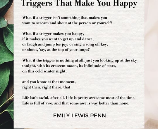 Triggers That Make You Happy by Emily L. Penn