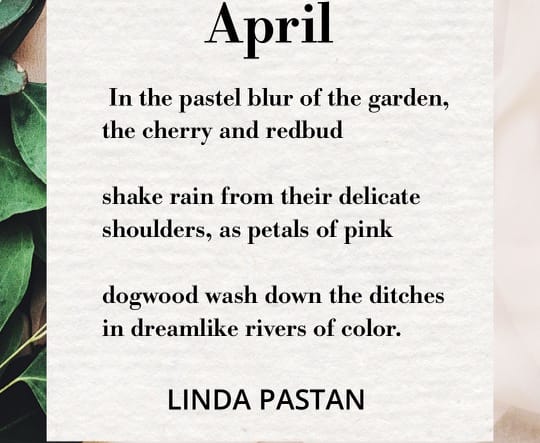 April by Linda Pastan