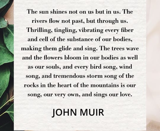 From John Muir