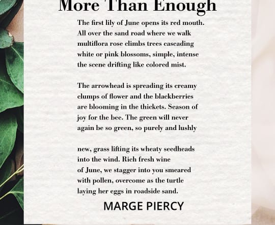 More Than Enough by Marge Piercy