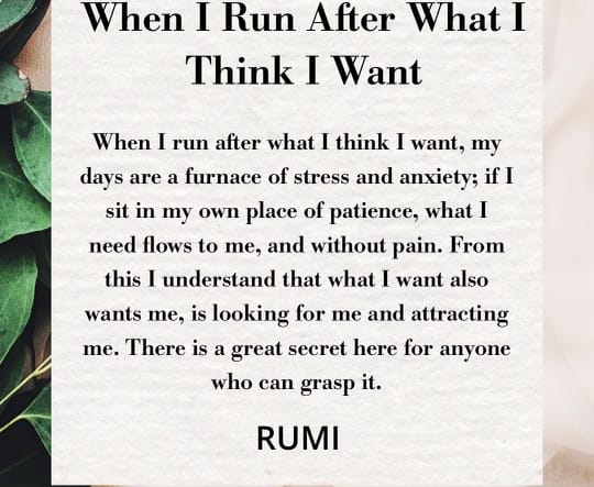 When I Run After What I Think I Want by Rumi