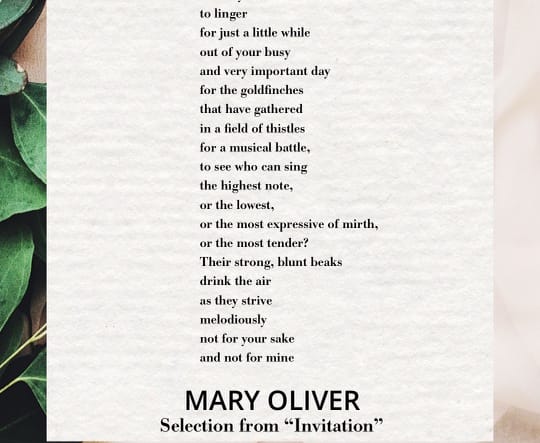 Selection from "Invitation" by Mary Oliver