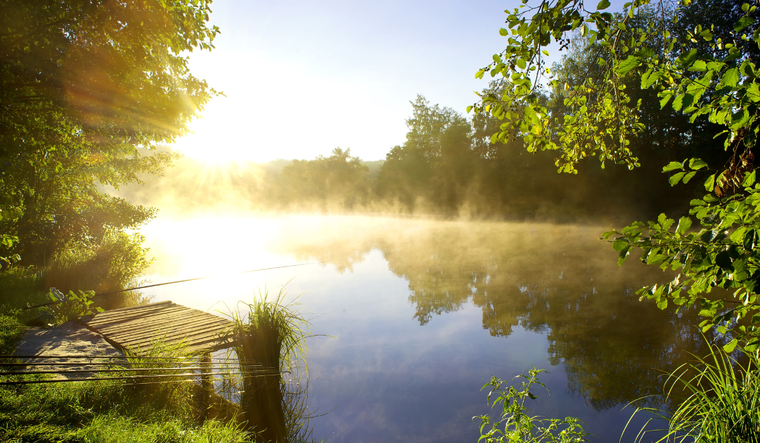 Forest lake at dawn, dock and fishing poles.