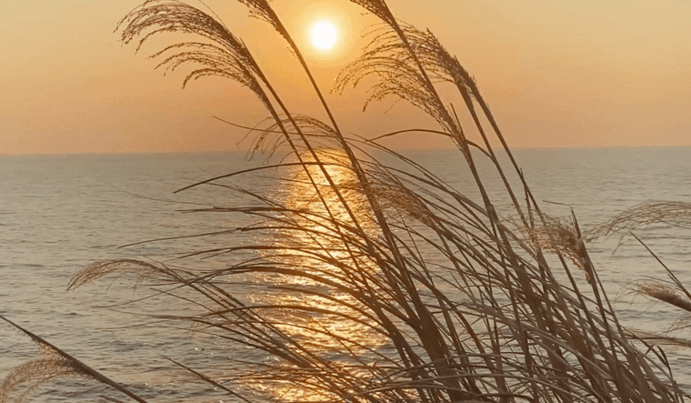 A breezy beach scene.