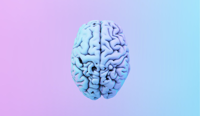 Image of a brain with purple and blue colors.