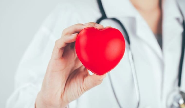 Doctor holding heart.